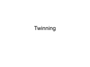 Slideshow3_Twinning