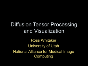 Diffusion Tensor Processing and Visualization