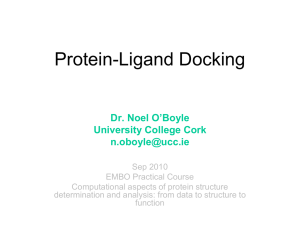 Protein-Ligand Docking