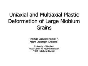 Uniaxial and Multiaxial Plastic Deformation of Large Niobium Grains