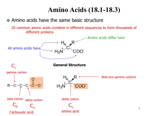 Amino Acids notes