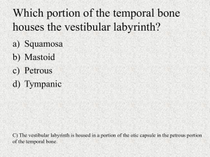 Which portion of the temporal bone houses the vestibular labyrinth?