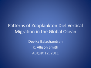 Patterns of Zooplankton Diel Vertical Migration in the Global Ocean