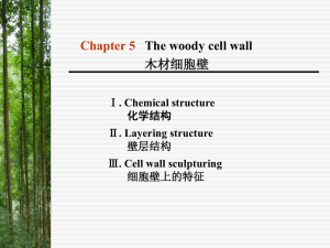 Chapter Five The woody cell wall