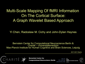Multiscale Mapping of fMRI Information