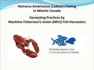 Presentation on Lobster fishing in Atlantic Canada