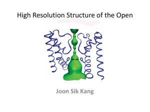 High Resolution Structure of the Open NaK Channel