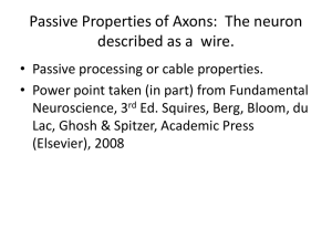 Passive Cable Properties of Axons