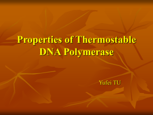 Properties of Thermostable DNA Polymerase