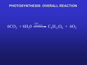 photosynthesis: overall reaction