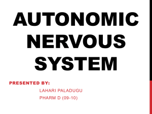 Physiology – Autonomic Nervous System