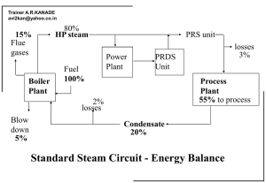 Steam Distribution and Piping