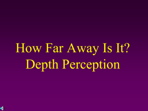Depth Perception