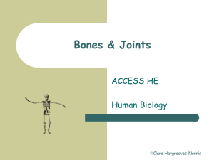 Bones & Joints