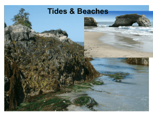 Chapter 11 Beaches and Tides
