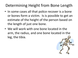 SKELETAL SYSTEM MEDICAL TERMINOLOGY