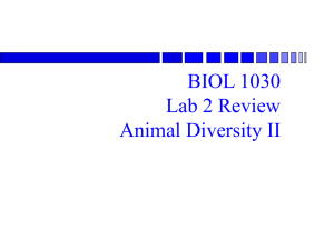 BIOL1030lab2_review