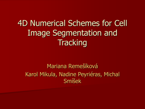 Cell segmentation