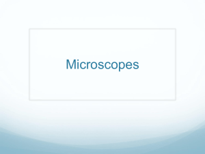 Review Assessment and Intro to Microscopes