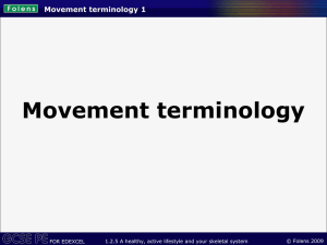PPT-Movement terminology
