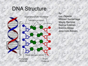 DNA Structure - WordPress.com