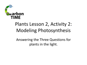 Lesson 2.2 Modeling Photosynthesis Presentation