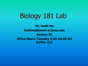 Biology 181 Lab - Biology Learning Center at the University of Arizona
