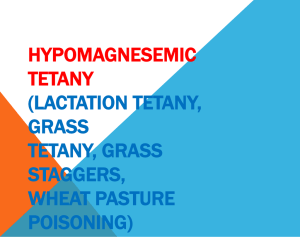 HYPOMAGNESEMIC TETANY (LACTATION TETANY, GRASS