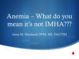 Anemia * It*s not IMHA??? - VetCare Internal Medicine