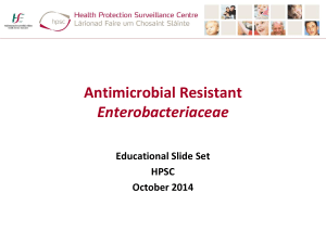 Resistant Enterobacteriaceae: Educational Slideset