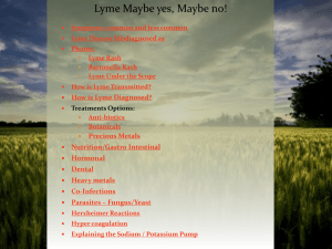 Lyme maybe yesmay be no05-04-2013