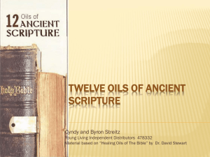 Twelve Oils of Ancient Scripture