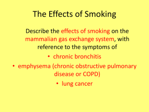 The Effects of Smoking - Skinners` School Science