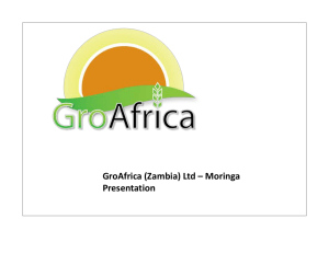 GroAfrica Moringa Presentation – Zambia