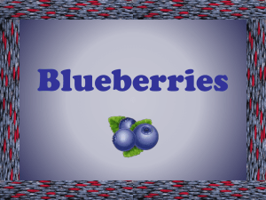 Blueberries - Pennington Biomedical Research Center
