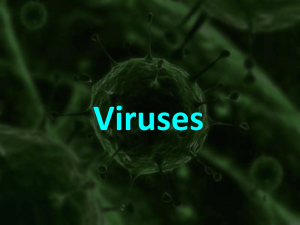 Viruses - TGHSLevel1Science
