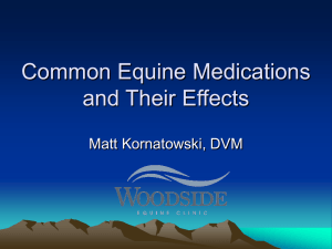 Common Equine Medications and Their Effects
