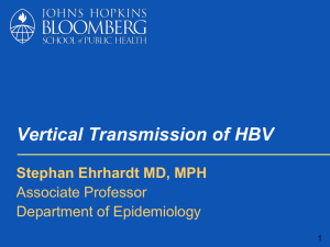 HBV Vertical Transmission. K S Ehrhardt, PhD.