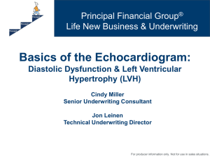 Principal Basics of the Echocardiogram Diastolic