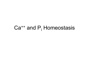 Ca++ and HPO42