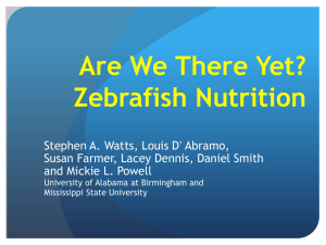 The Effect of Dietary Calcium on Zebrafish, (Danio rerio), Growth