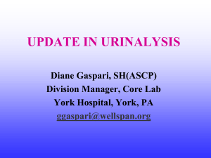 UPDATES IN URINALYSIS - American Medical Technologists