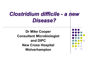 Clostridium difficile O27