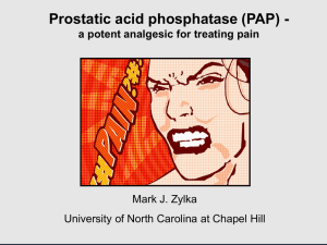 Prostatic acid phosphatase (PAP) – a potent analgesic for treating pain