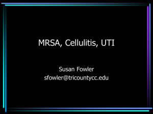 MRSA, Cellulitis, UTI Objectives pp. 5 & 6
