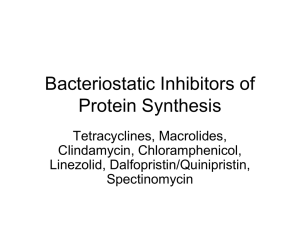 Bacteriostatic Inhibitors of Protein Synthesis