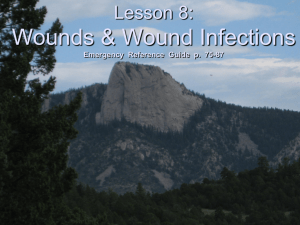 Lesson 8: Wounds and Wound Infections - Bsa