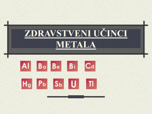 Metali2.1