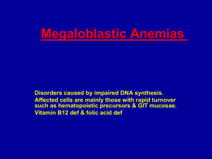 16-Megaloblastic Anemias lecture