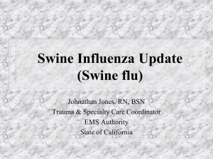 Swine Flu Presentation